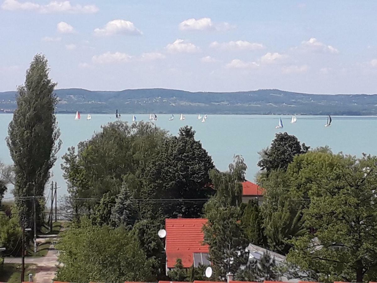 Lakeview Residence Balaton バラトンサールソー エクステリア 写真